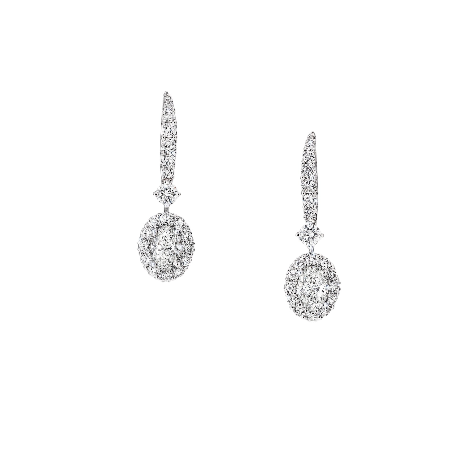 Oval Illusion Drop Earrings